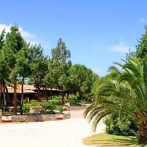 Residence Blue Corner Porto Pollo
